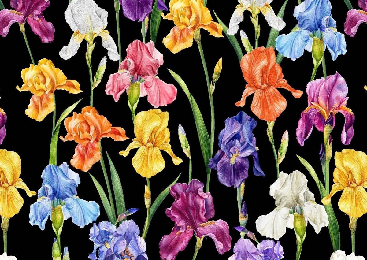 Multicolor floral pattern fabric with large vibrant irises on black background